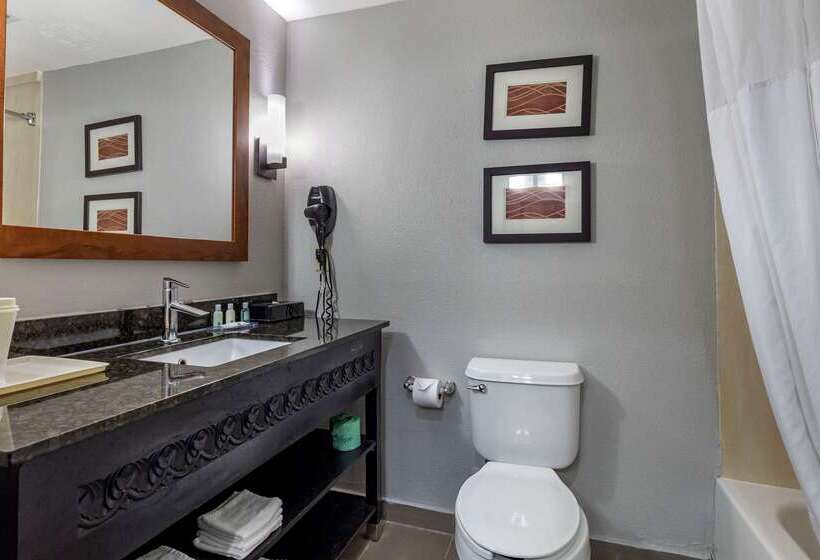 هتل Quality Inn & Suites I 35 E Walnut Hill