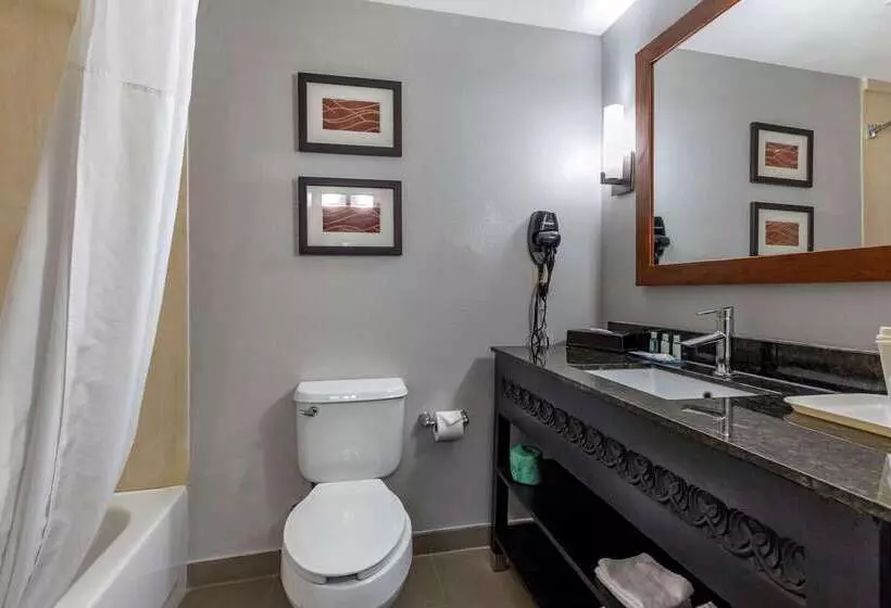 Hotel Quality Inn & Suites I 35 E Walnut Hill