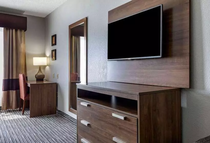 Hotel Quality Inn & Suites I 35 E Walnut Hill