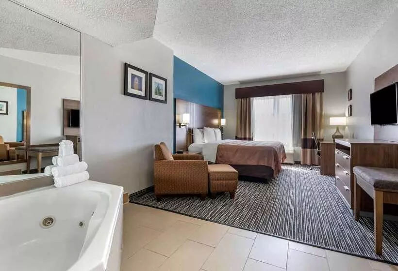 Hotel Quality Inn & Suites I 35 E Walnut Hill