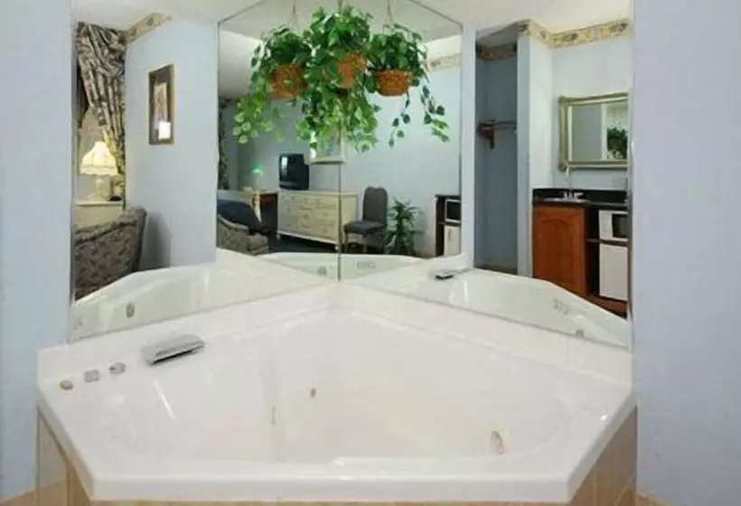 Hotel Quality Inn & Suites I 35 E Walnut Hill