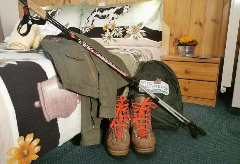 Hotel Walliserhof Leukerbad Therme