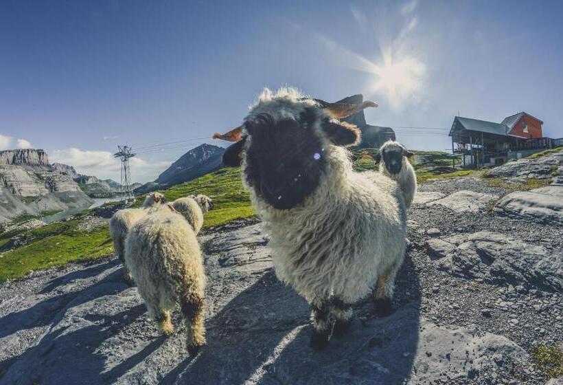 Otel Walliserhof Leukerbad Therme