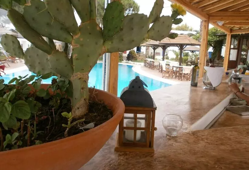 호텔 Alkyoni Beach