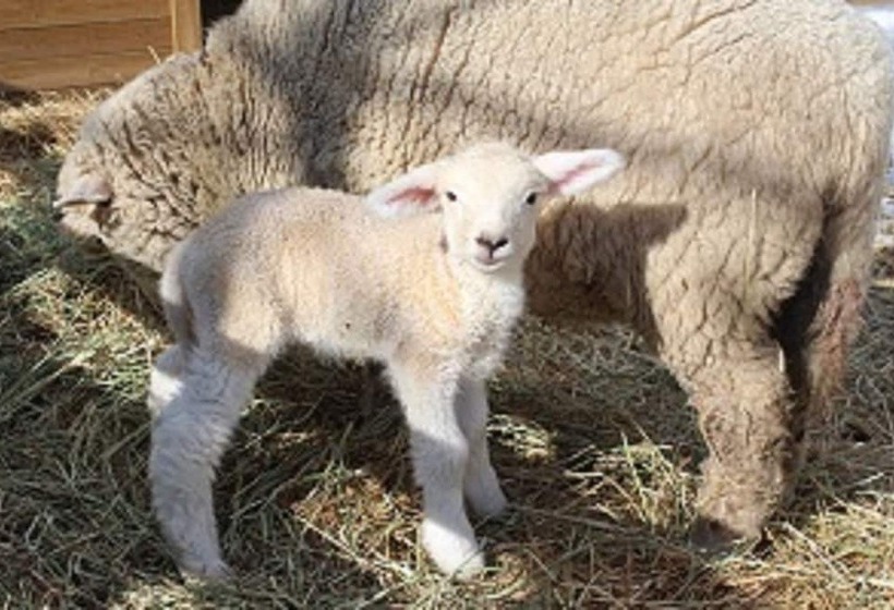 Kensington Hotel Pyeongchang