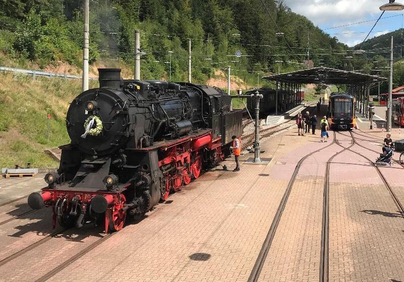 Отель Kull Von Schmidsfelden