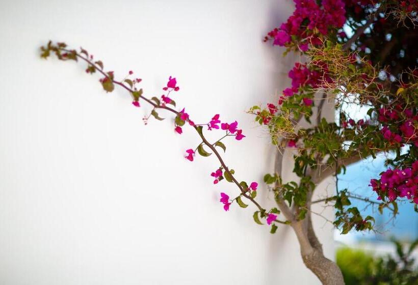 בית מלון כפרי Lh Pedraladda Resort