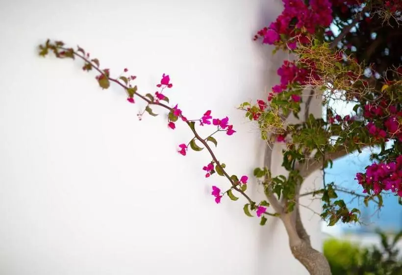 Отель Lh Pedraladda Resort