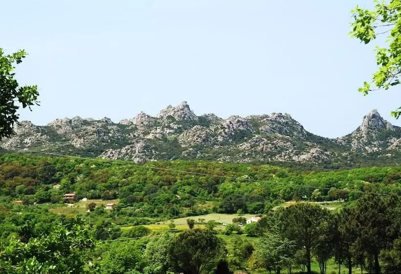 Отель Pausania Inn