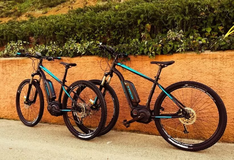 Отель Pausania Inn