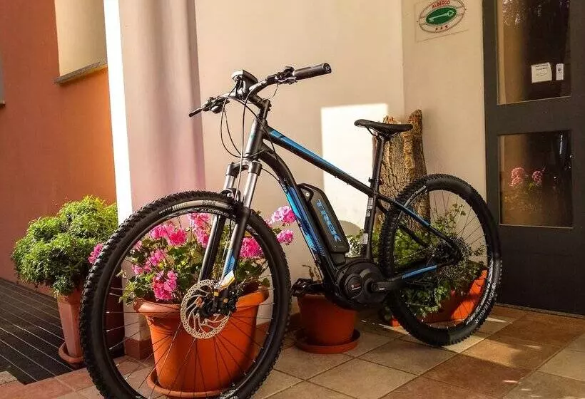 Отель Pausania Inn