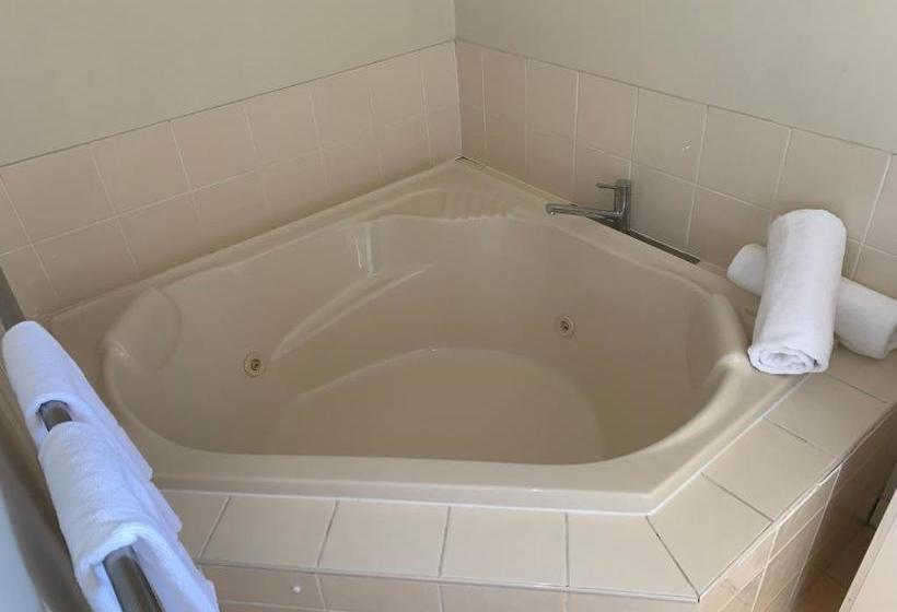 酒店 Biloela Palms Motor Inn