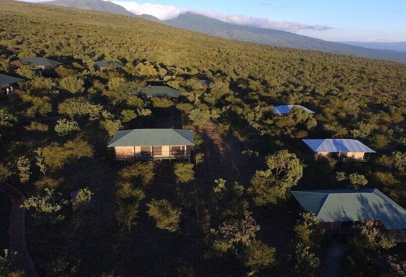 호텔 Ngorongoro Wild Camps