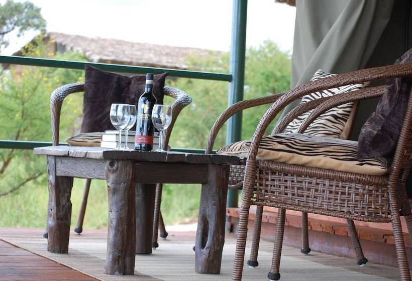 호텔 Ngorongoro Wild Camps