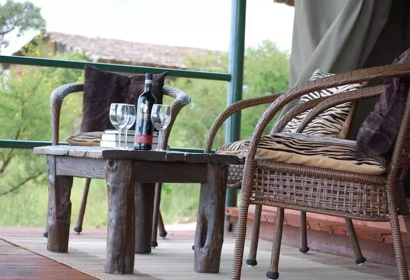 ホテル Ngorongoro Wild Camps