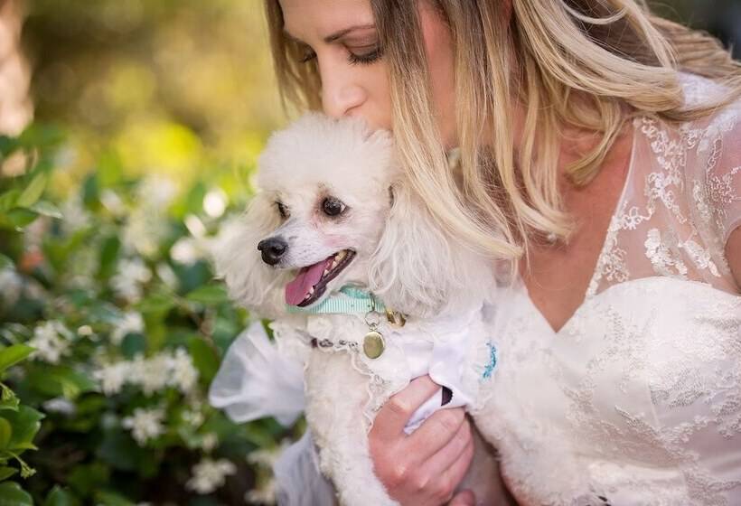 Grandview B&b Mount Dora