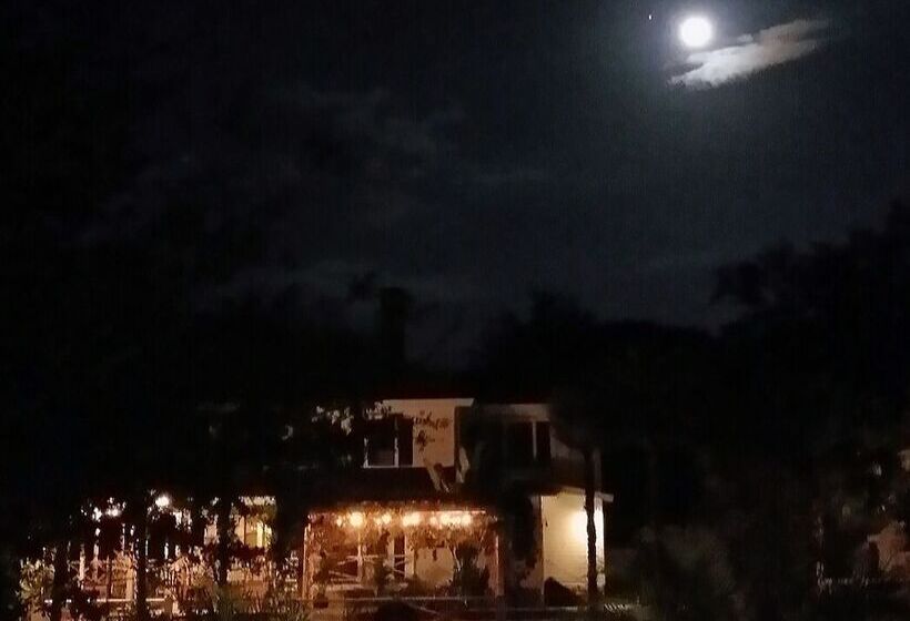 Grandview B&b Mount Dora