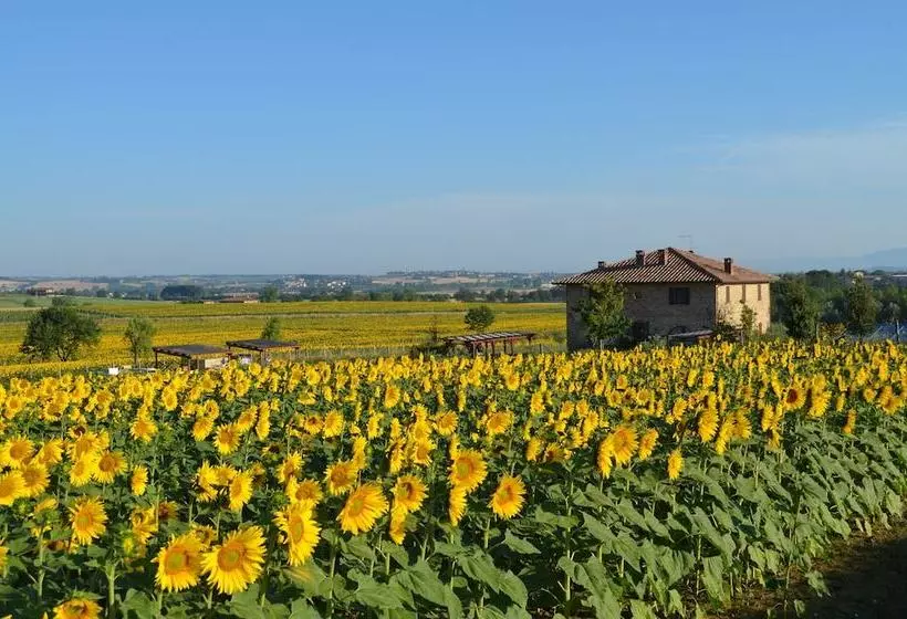 ベッドアンドブレックファースト Tuscan Style Ecofarm Molinaccio