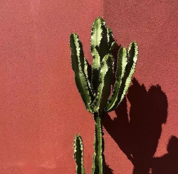 Bed and Breakfast Senia_rooms_design