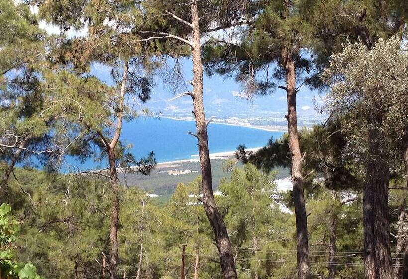 هتل Havasupark Bungalows