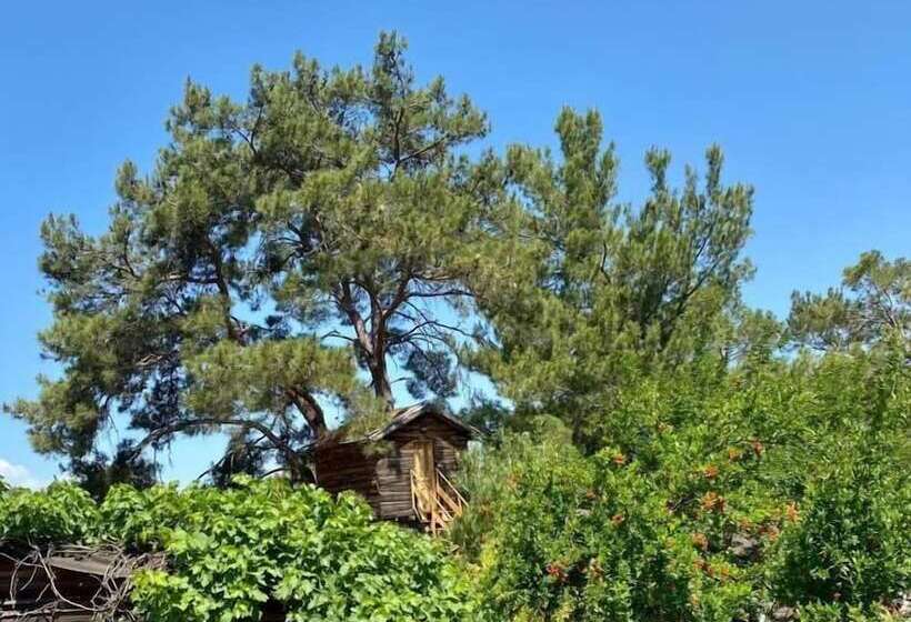 هتل Havasupark Bungalows