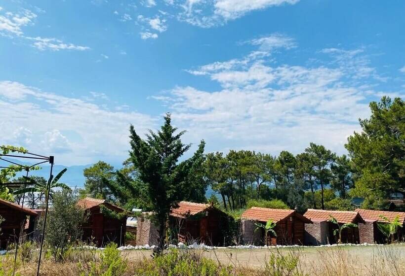 هتل Havasupark Bungalows