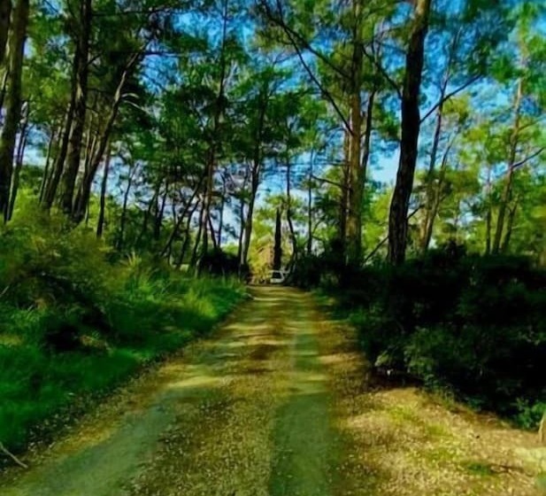 هتل Havasupark Bungalows