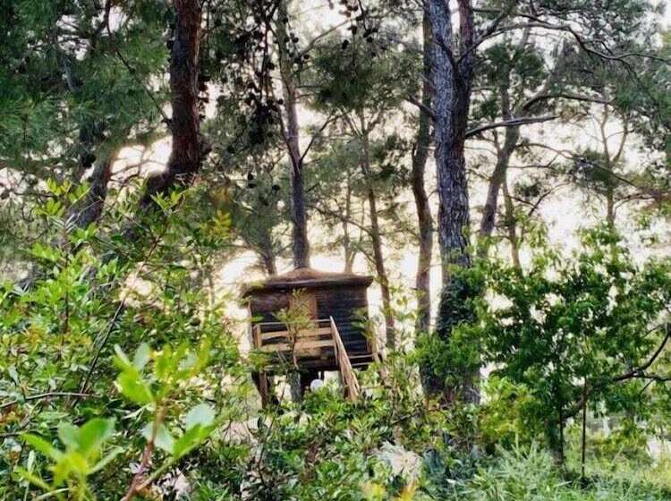 هتل Havasupark Bungalows