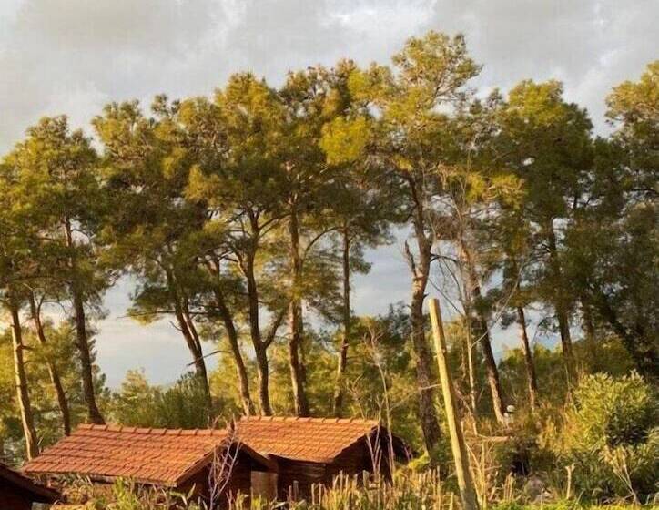 هتل Havasupark Bungalows