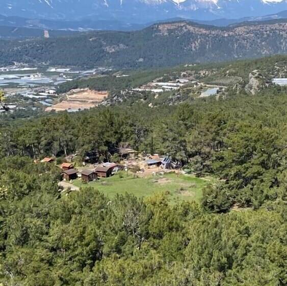 هتل Havasupark Bungalows