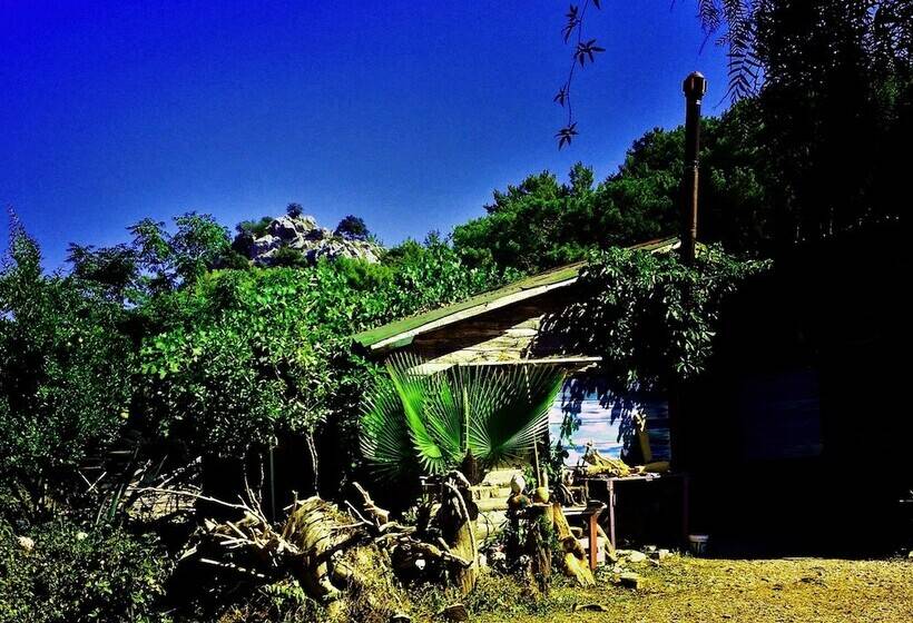 هتل Havasupark Bungalows