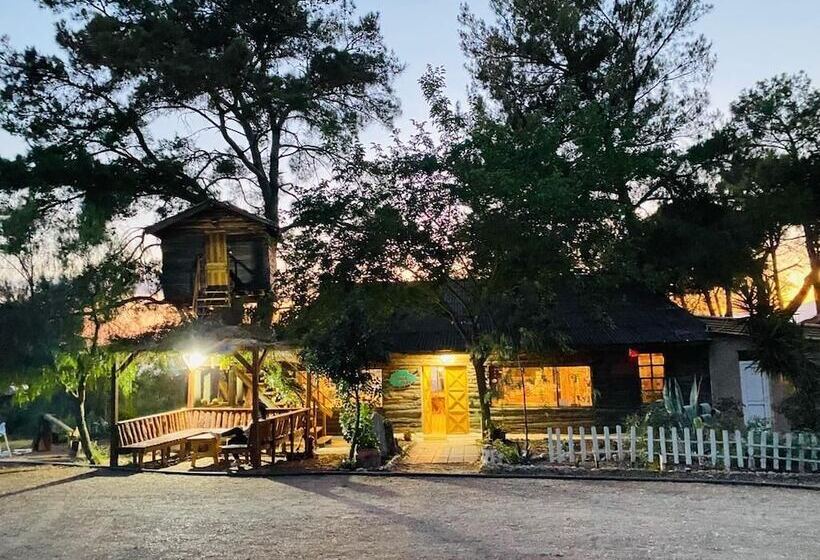 هتل Havasupark Bungalows