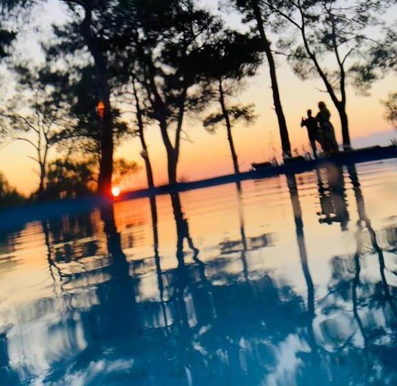 هتل Havasupark Bungalows