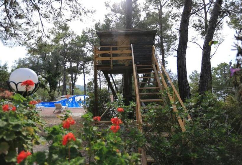 هتل Havasupark Bungalows