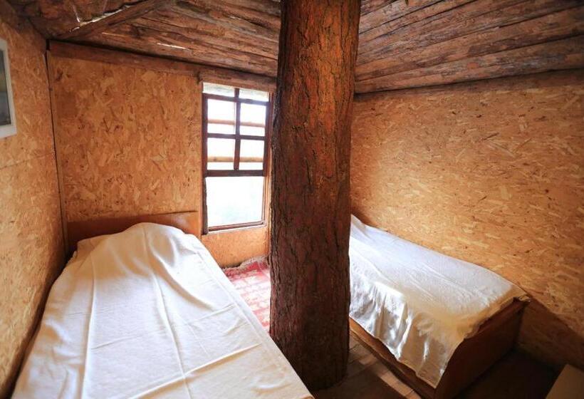 هتل Havasupark Bungalows