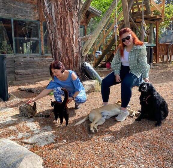 هتل Havasupark Bungalows