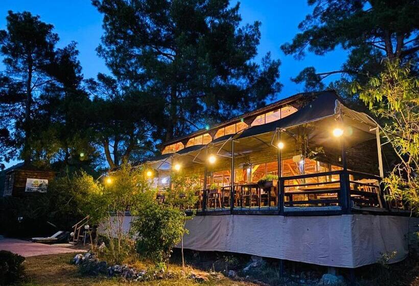 هتل Havasupark Bungalows