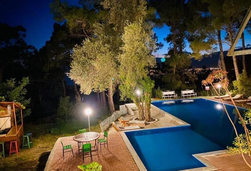 هتل Havasupark Bungalows