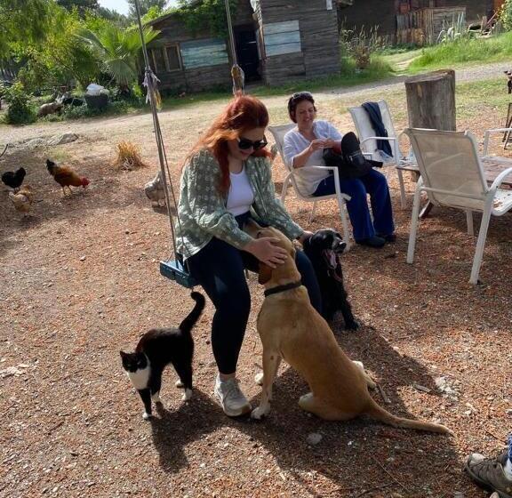 هتل Havasupark Bungalows