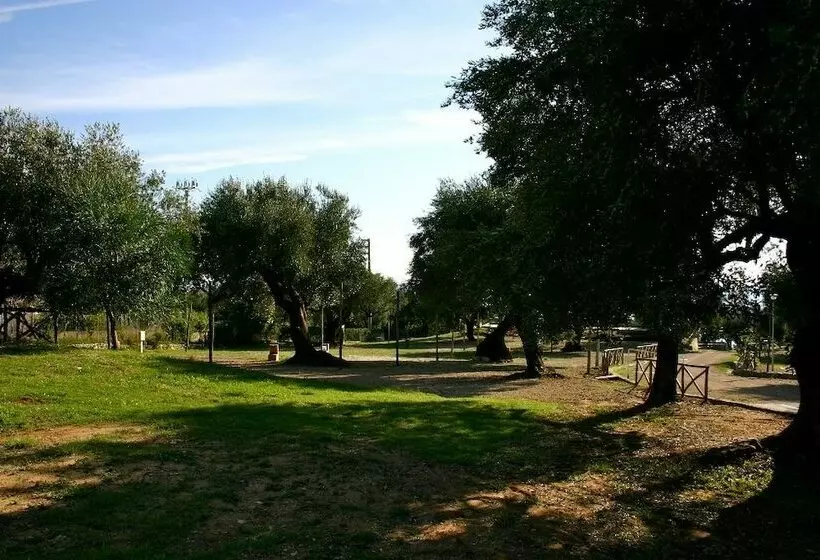 ホテル Porticello Village  Campsite