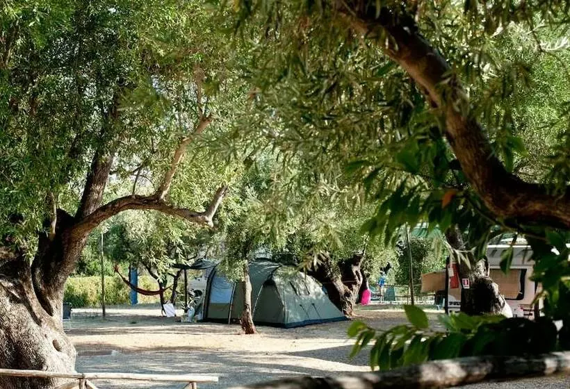 ホテル Porticello Village  Campsite