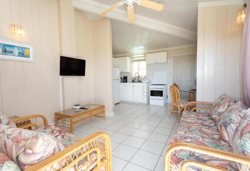 هتل South Coast Horizon