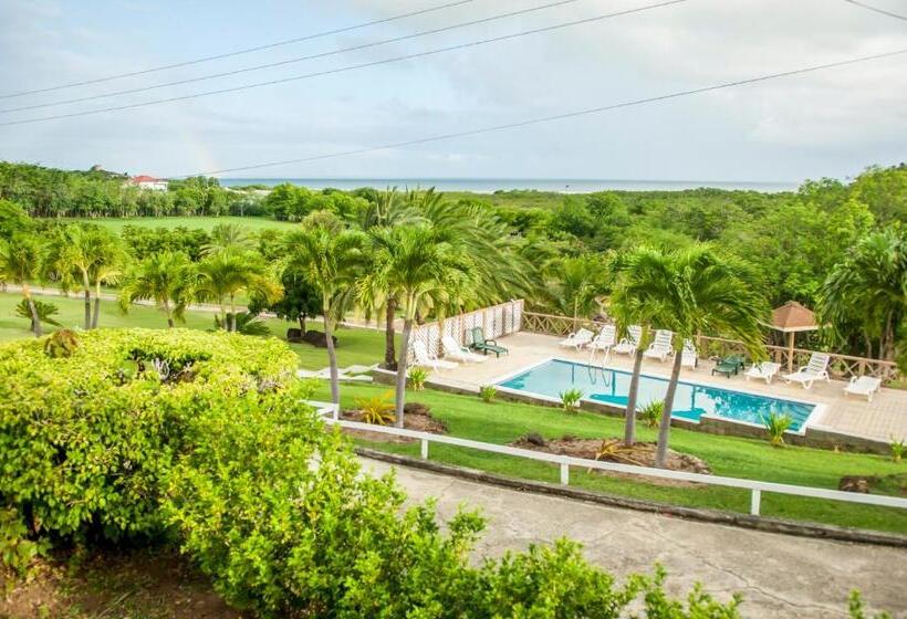 هتل South Coast Horizon