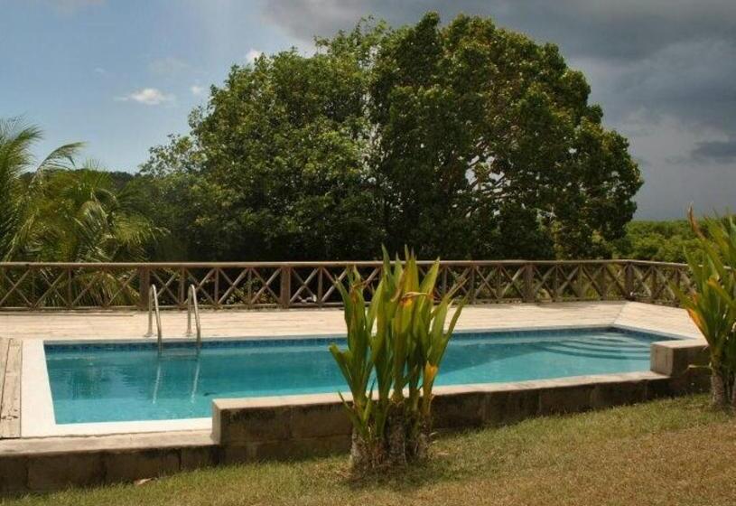 هتل South Coast Horizon