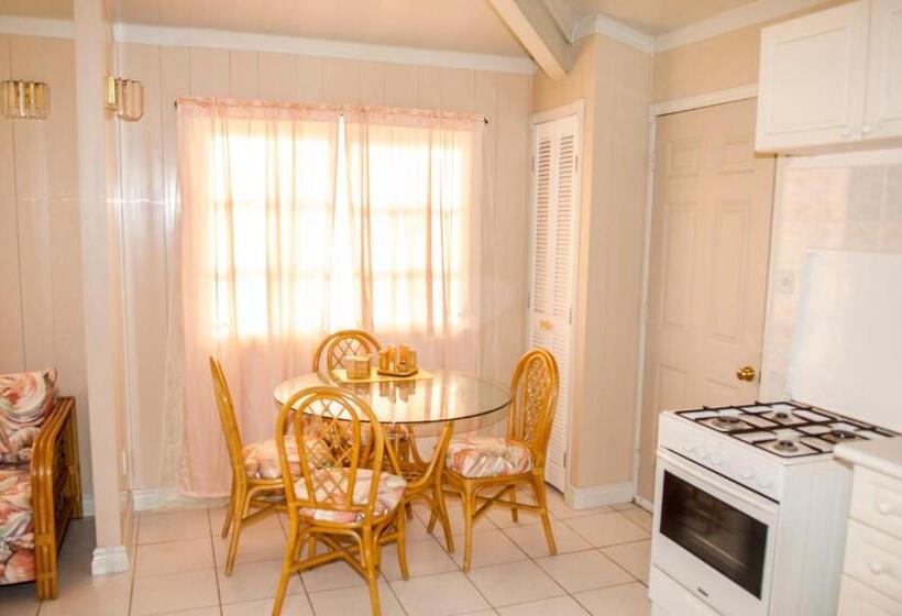 هتل South Coast Horizon