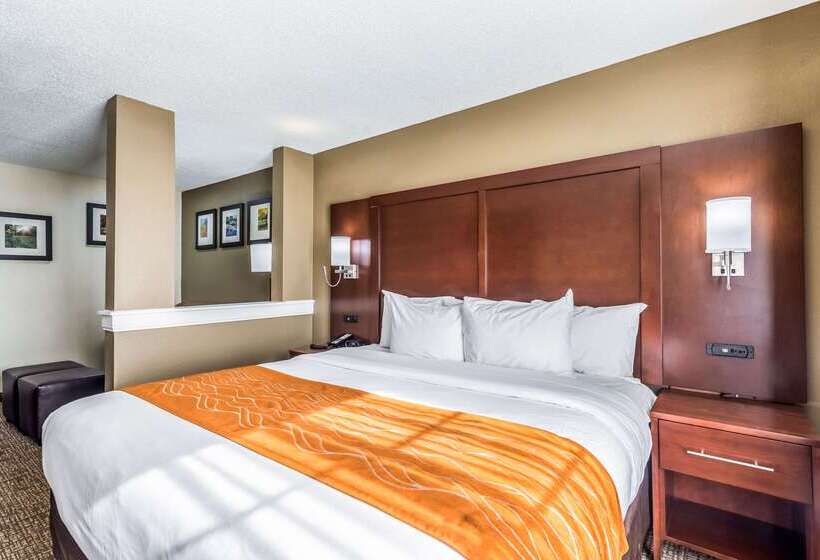 هتل Comfort Inn & Suites Dayton North