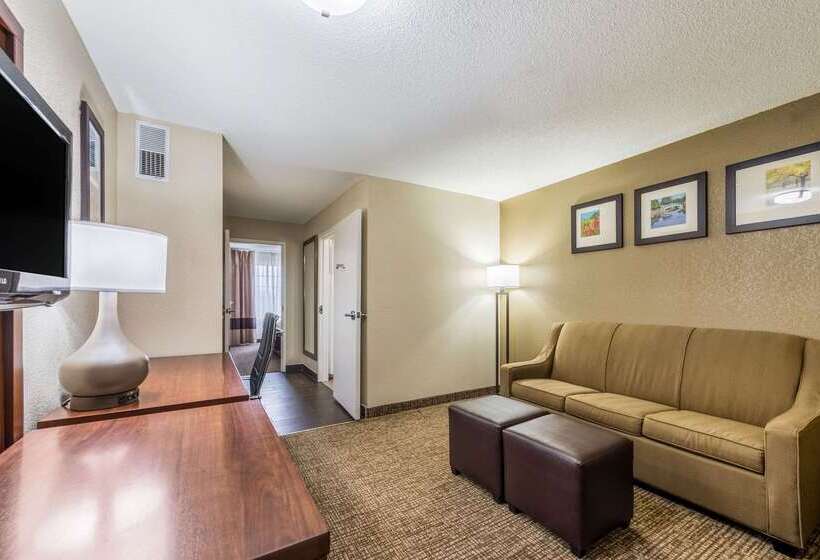 هتل Comfort Inn & Suites Dayton North