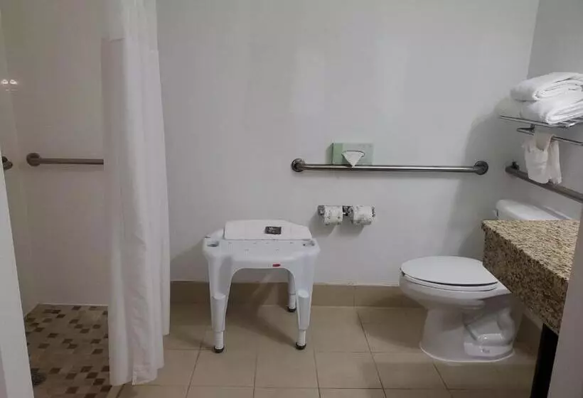 בית מלון כפרי Country Inn & Suites By Radisson, Buford At Mall Of Georgia, Ga