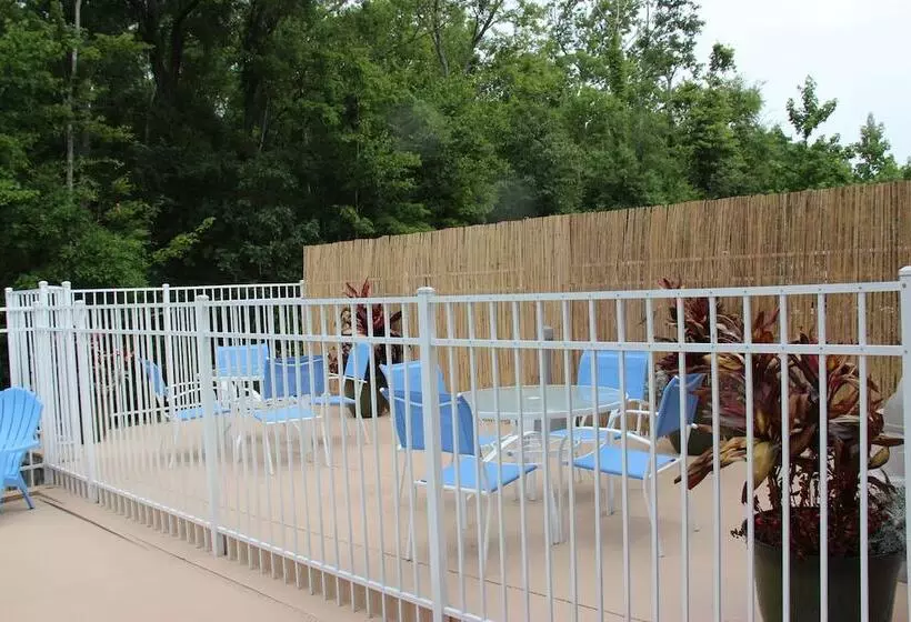 בית מלון כפרי Country Inn & Suites By Radisson, Jacksonville, Fl