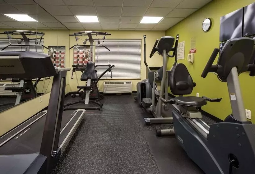 בית מלון כפרי Country Inn & Suites By Radisson, Jacksonville, Fl